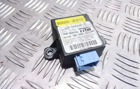 KIA Sorento Other control units/modules 956003E610