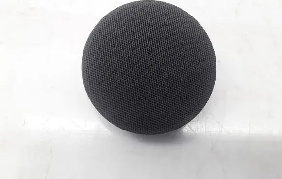Front door high frequency speaker