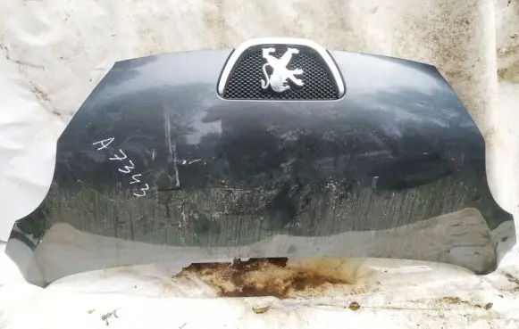 Peugeot 107 Engine bonnet/hood pilkas