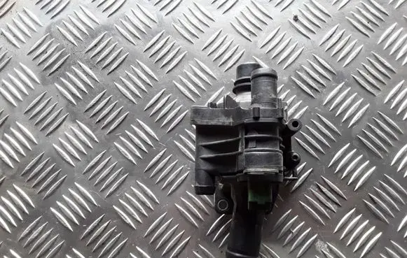 Thermostat/thermostat housing