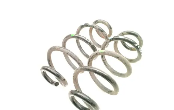 Rear coil spring