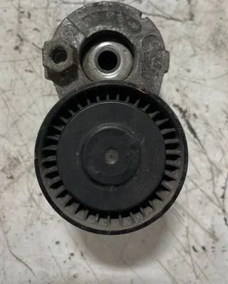 Renault Kangoo II Alternator belt tensioner 1002602