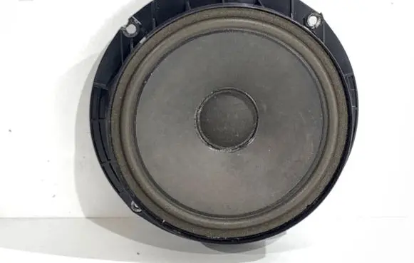 Volkswagen PASSAT B7 Front door speaker 3C0035453