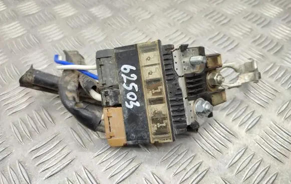 Positive wiring loom