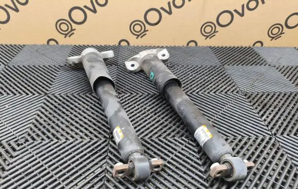 Ford Edge II Rear shock absorber/damper K2GC18W002