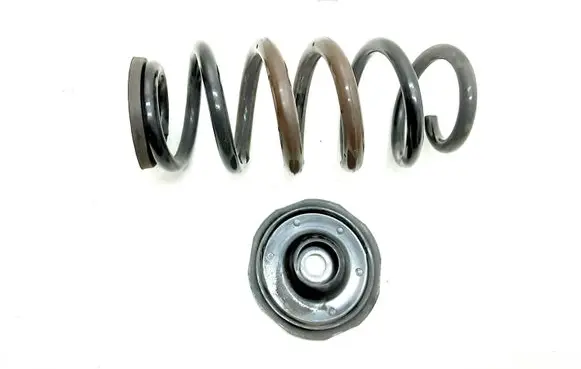 Toyota RAV 4 (XA40) Rear coil spring