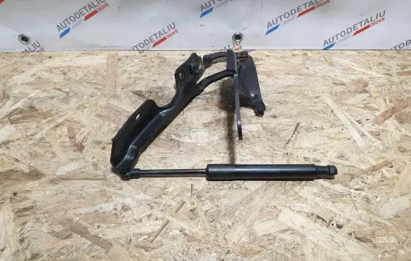 Tailgate/trunk/boot hinge