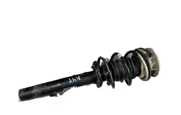 BMW Z4 E89 Front shock absorber with coil spring 6796440