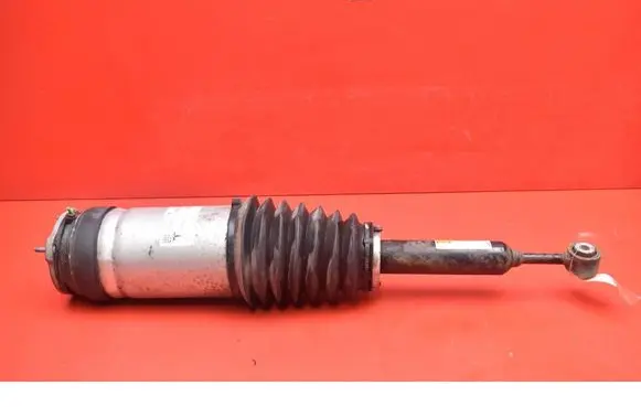 Rear shock absorber/damper