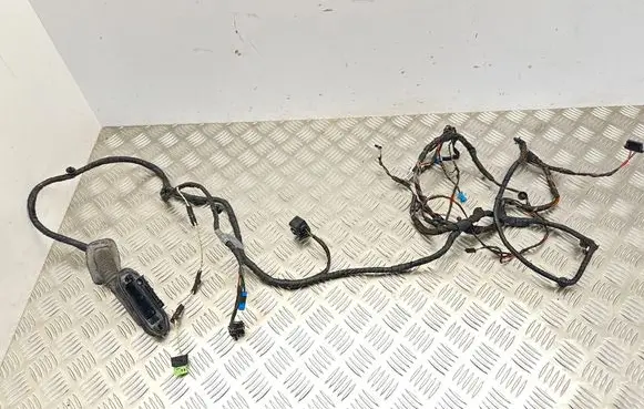BMW 5 F10 F11 Front door wiring loom 9240851 2922984 EGB55Z