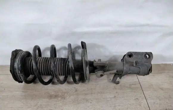 Nissan Leaf I (ZE0) Front shock absorber with coil spring