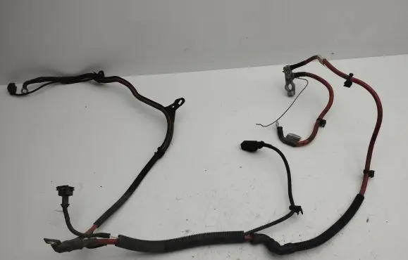 Mini Cooper Countryman R60 Positive cable (battery) 61119165