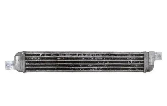 Opel Meriva A Intercooler radiator 52401015