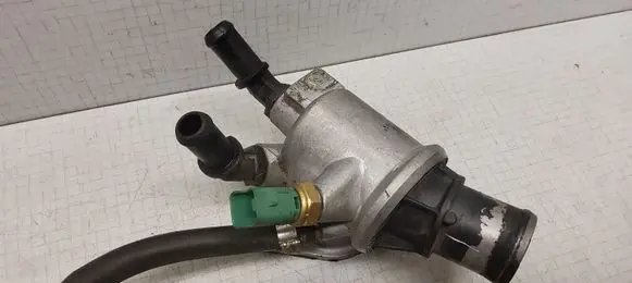 Thermostat/thermostat housing
