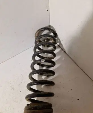 Rear coil spring