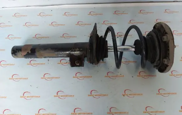 BMW 1 F20 F21 Rear shock absorber/damper 6873723
