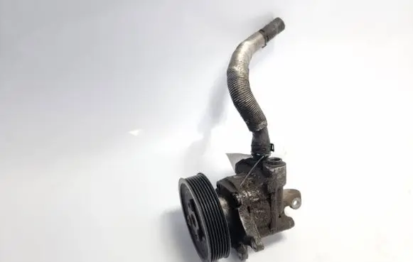 Porsche Panamera (970) Power steering pump 97034704906