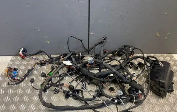 Cupra Born Engine installation wiring loom