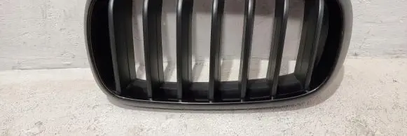 BMW X5 F15 Front bumper upper radiator grill 7316075