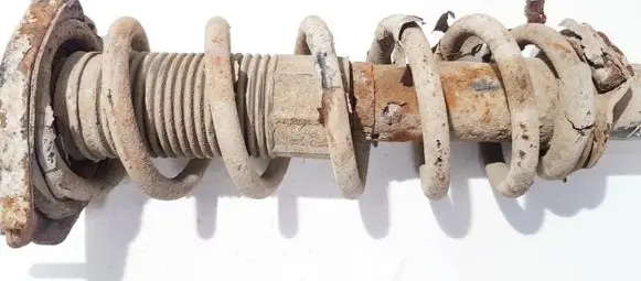 Toyota Corolla Verso AR10 Rear coil spring