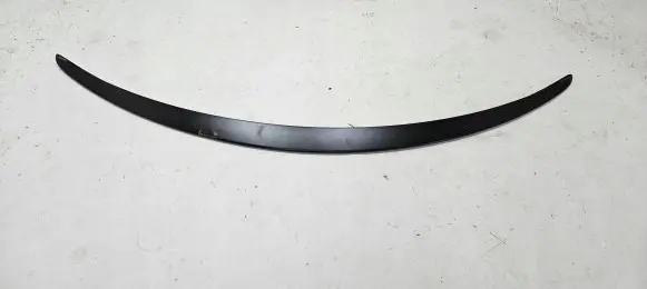 Tesla Model 3 Tailgate/trunk spoiler 