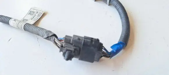 Other wiring loom