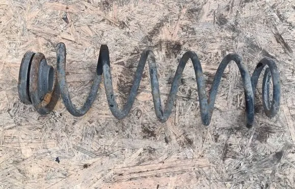 Rear coil spring