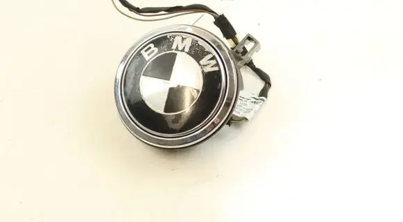 BMW M6 Tailgate exterior lock 7061327 10862510