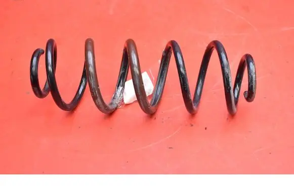 Rear coil spring