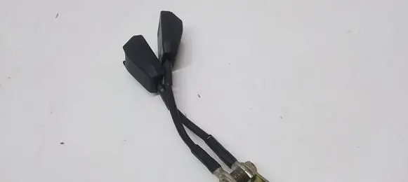Rolls-Royce Silver Spur Middle seatbelt buckle (rear) 021792187
