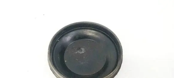 Volkswagen PASSAT B6 Headlight/headlamp dust cover 15566500