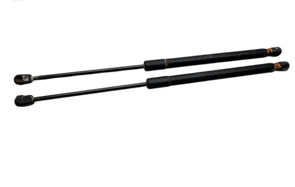 Tailgate/trunk strut/damper