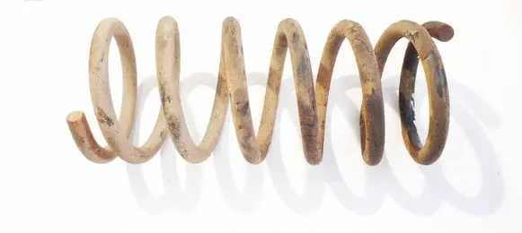 Rear coil spring