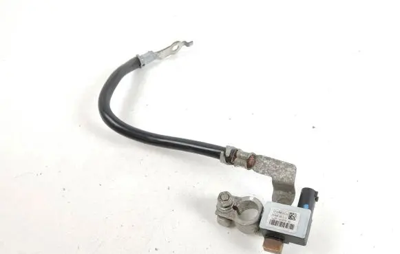 Ford Mustang Mach-E Negative earth cable (battery) LJ9T10C679AD