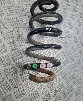 Rear coil spring