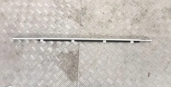 KIA Sorento Front door glass trim molding