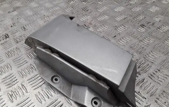 Rear/tail light trim molding