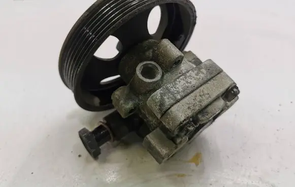 Hyundai Santa Fe Power steering pump 10051BCG