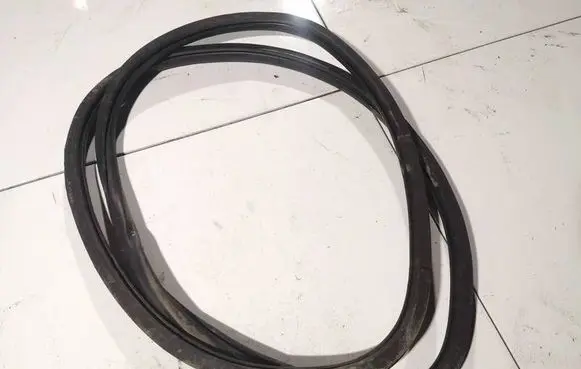 Volkswagen PASSAT B6 Rubber seal front coupe door 