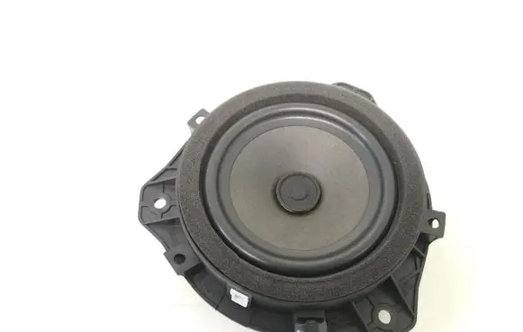 Front door speaker