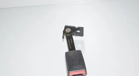Rear seatbelt buckle