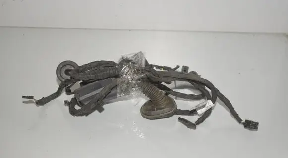 Front door wiring loom