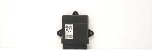 Opel Vectra C Door control unit/module 13111457