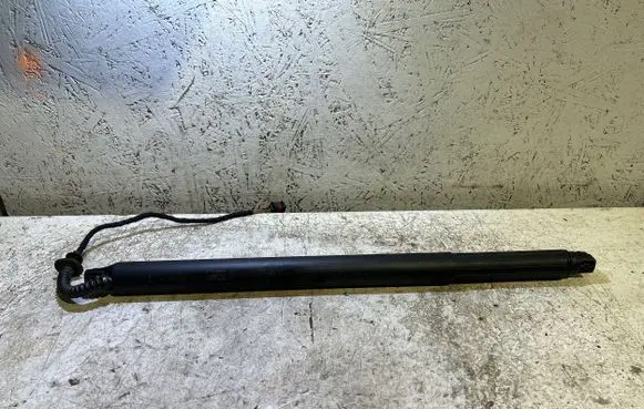 Tailgate/trunk strut/damper