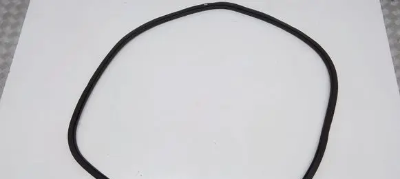 Ford Fusion II Rubber seal front door (on door) 