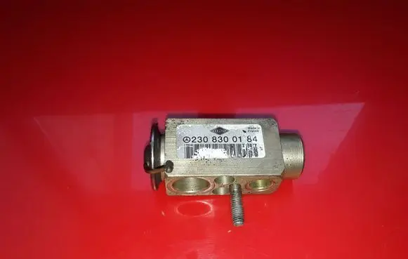 Mercedes-Benz S W220 Air conditioning (A/C) expansion valve 2308300184