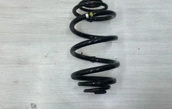 Renault Trafic III (X82) Rear coil spring 550202870R