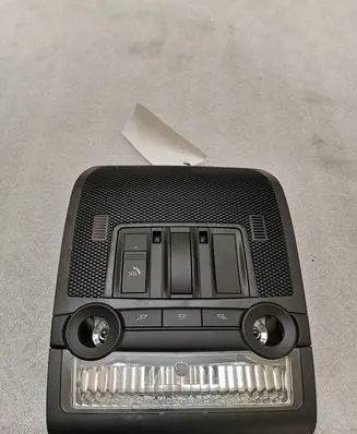 BMW X5 E70 Front seat light 9225937