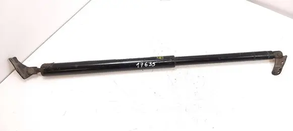 Tailgate strut