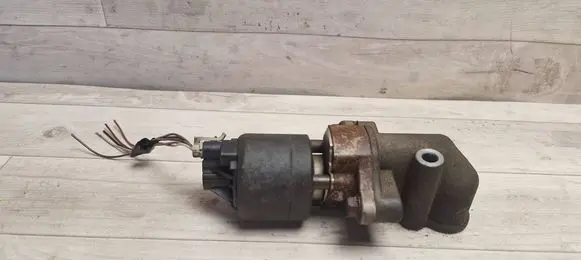 Chevrolet Aveo EGR valve 